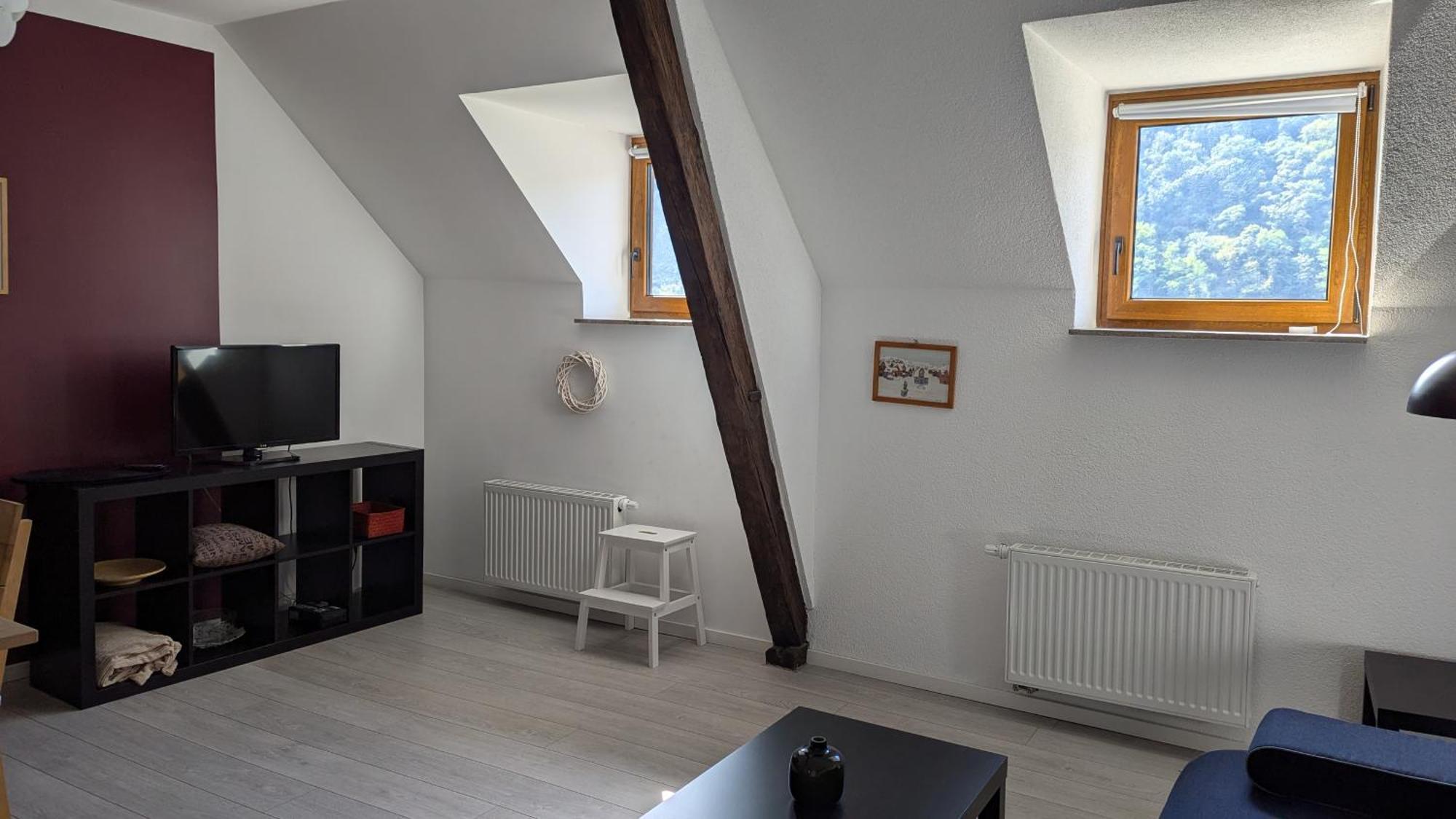 Apartment Rheinsteig-ferienwohnungen Kaub